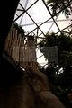 leipzig zoo-01_07_2011_gondwanaland_075